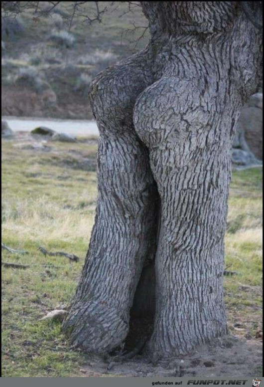 In der Natur In der Natur