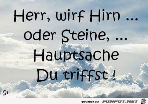 Hirn oder Steine Hirn oder Steine