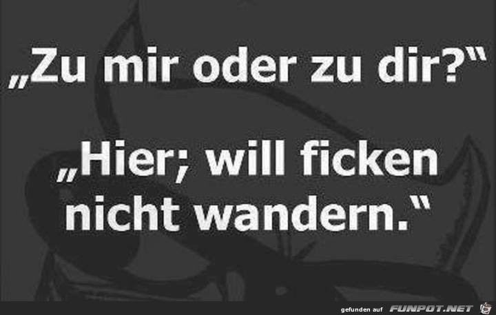 Wohin Wohin