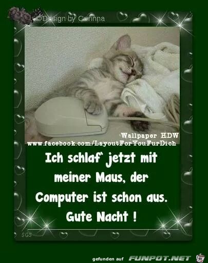 maus maus