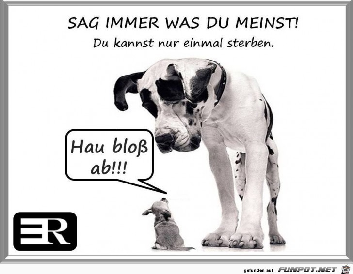 Sag immer was du meinst