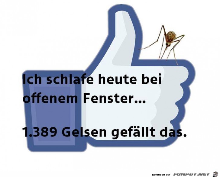 Ich schlafe heute Ich schlafe heute