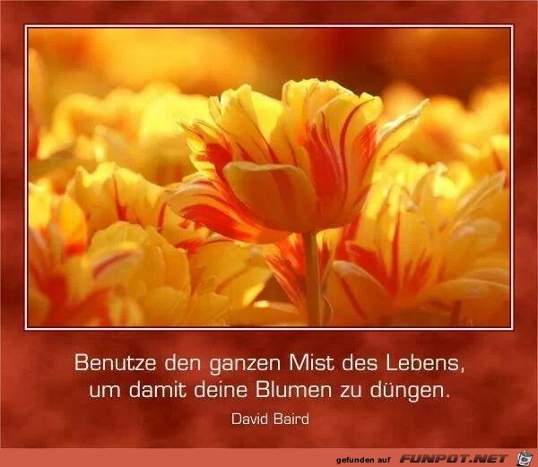 Benutze den ganzen Mist... Benutze den ganzen Mist...