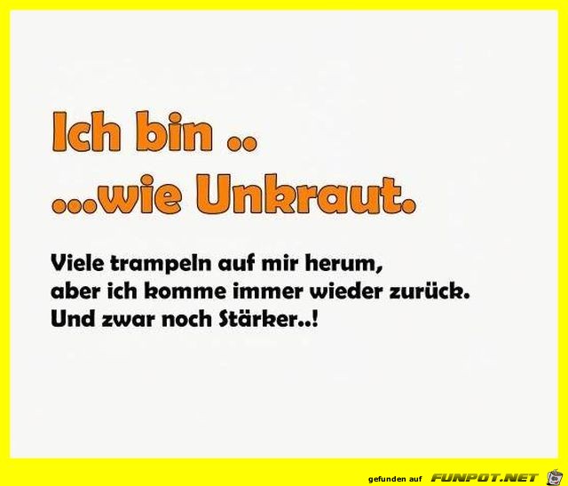 Ich bin Ich bin