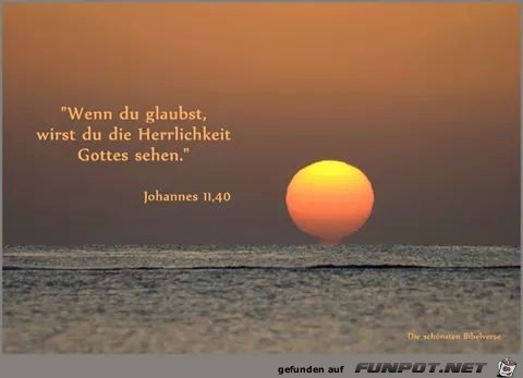 Joh 1 Joh 1