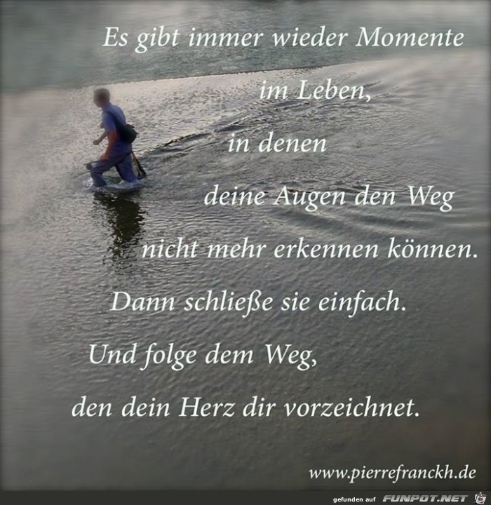 Es gibt immer wieder Momente im Leben...