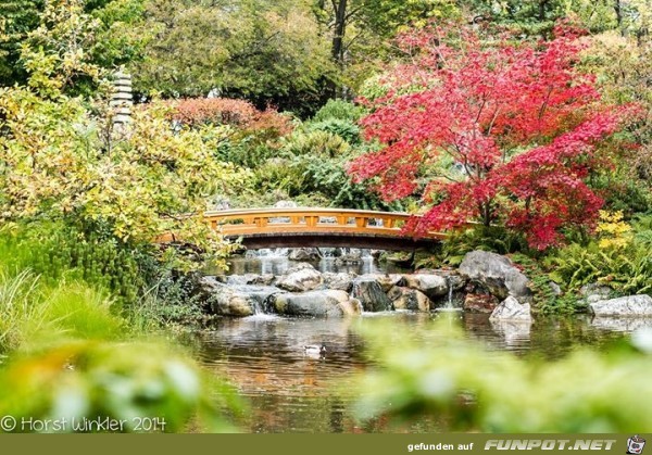 japanischer Park japanischer Park
