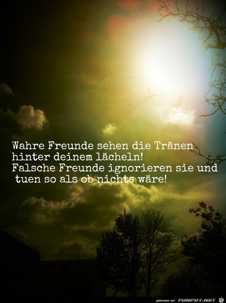 wahre freunde