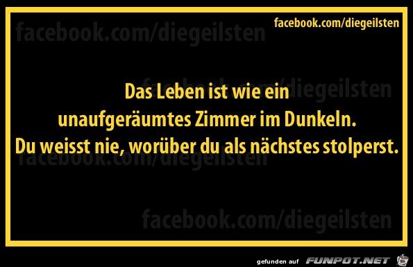 diegeilsten Leben diegeilsten Leben
