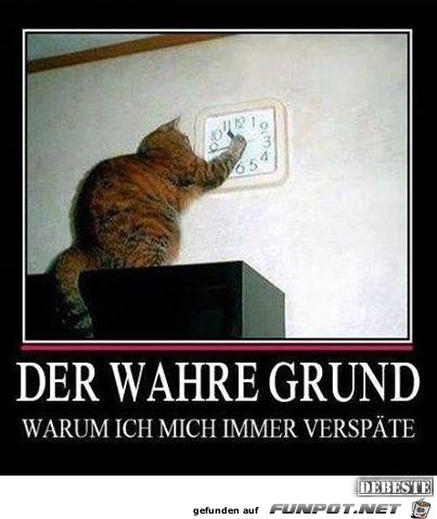 Der wahre Grund