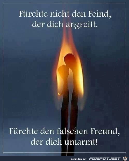 Frchte nicht den Feind...