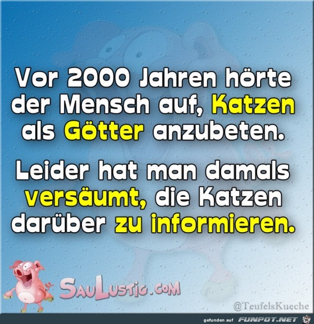 Katzen Katzen