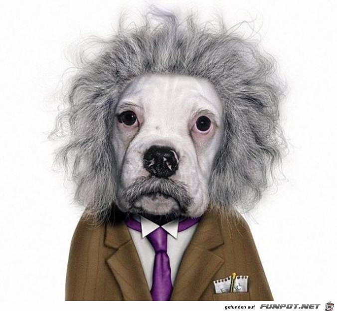 Albert Einstein Albert Einstein