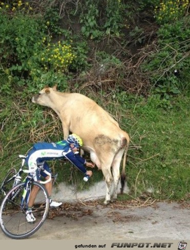 Schnappschuss von der Tour de France