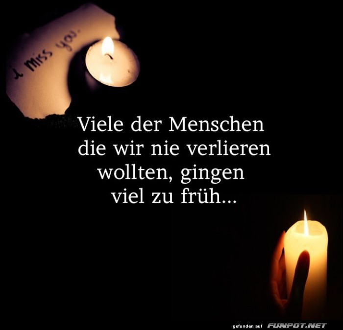 10 sch�ne Spr�che und Lebensweisheiten aus...