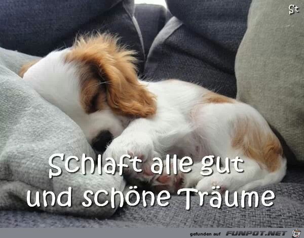 schlaft alle gut schlaft alle gut