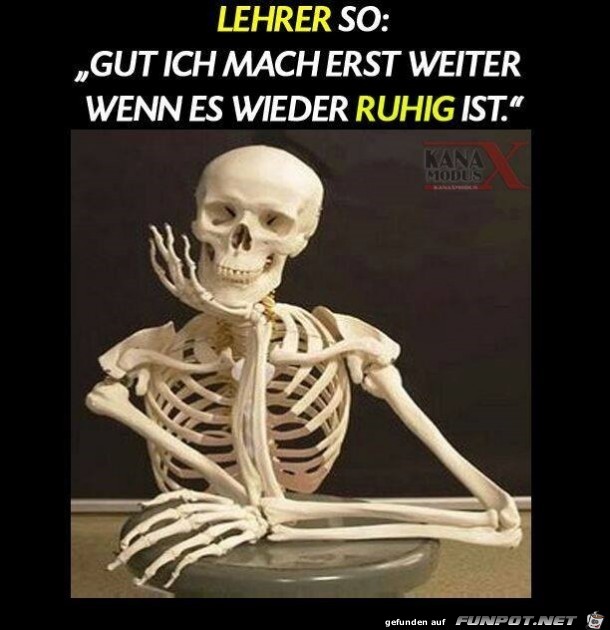 Lehrer Lehrer