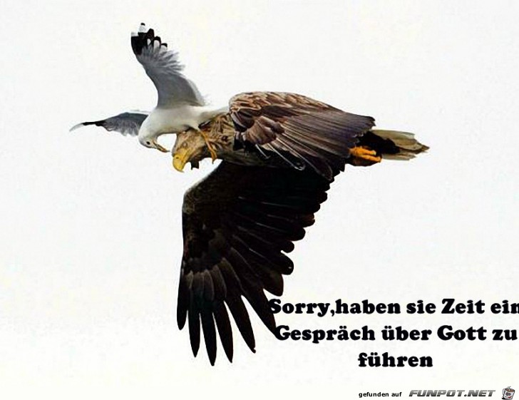 Zeugen Jehovas