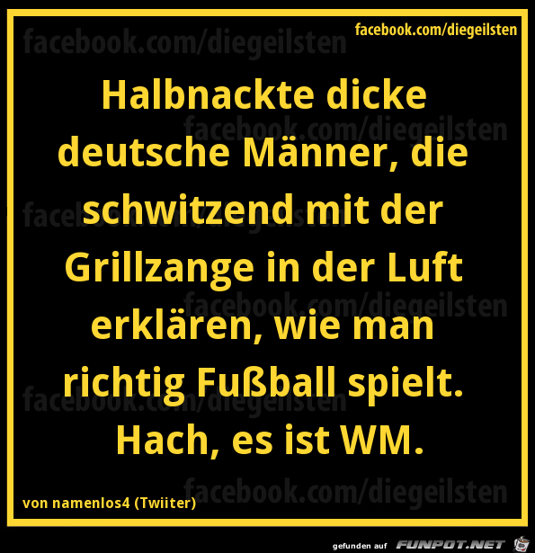 diegeilsten WM diegeilsten WM