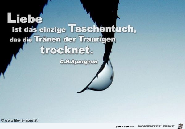 liebe ist das einzige taschentuch