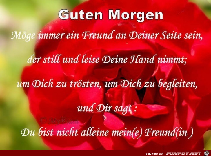 Guten Morgen Guten Morgen