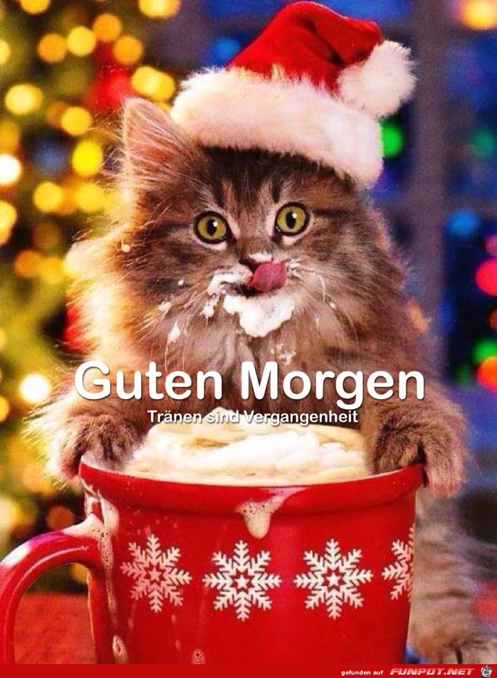 Guten Morgen -