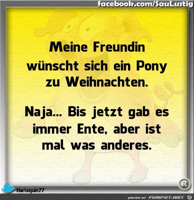 Meine Freundin wuenscht sich ein Pony