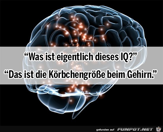 IQ IQ