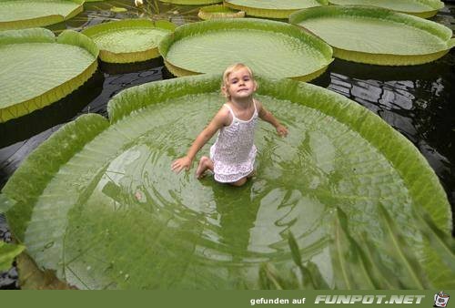 Awesome Pictures 21 Awesome Pictures 21