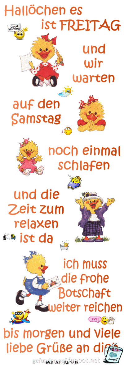 freitag 4 freitag 4