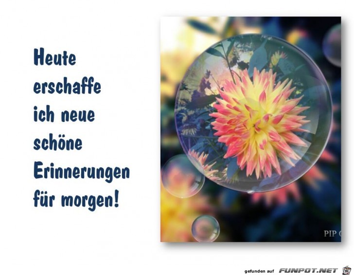 heute erschaffe ich heute erschaffe ich