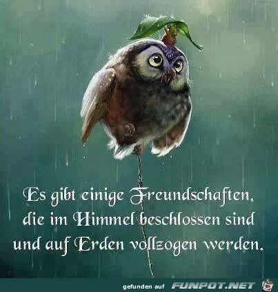 freundschaften freundschaften