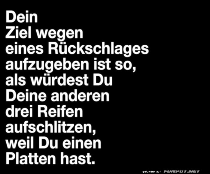 10 sch�ne Spr�che und Lebensweisheiten aus...
