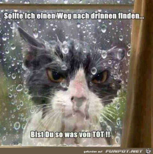 sollte ich sollte ich
