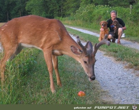 Selten und Wunderbar!