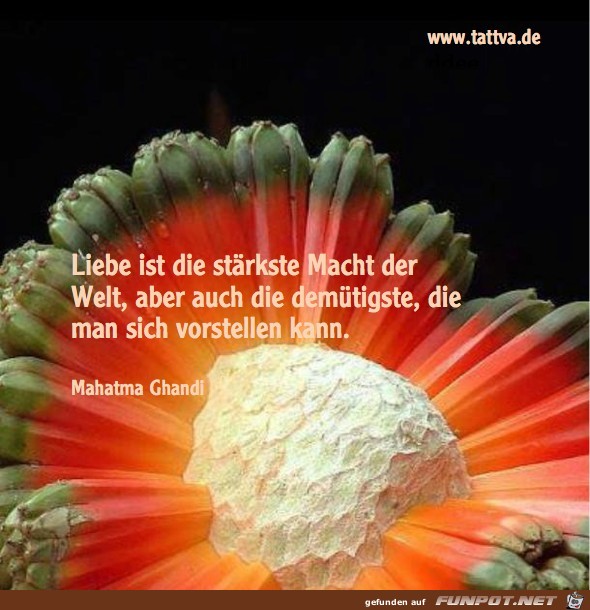 Liebe ist die staerkste Macht