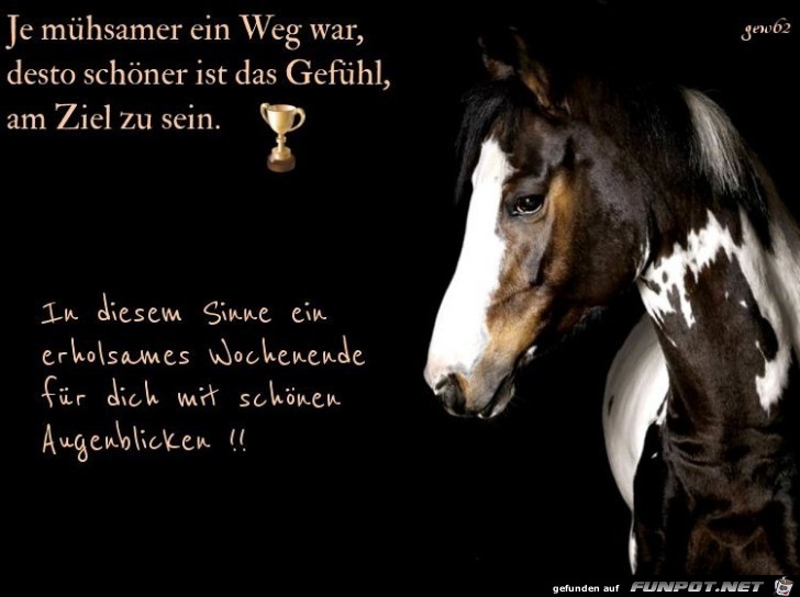 WE WE