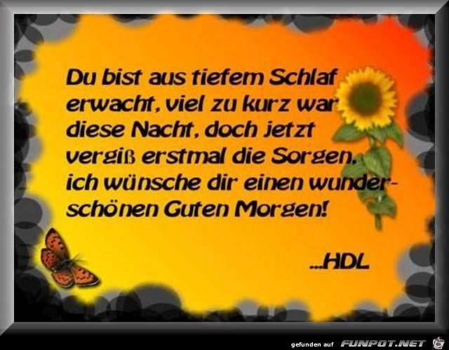 aus dem Schlaf erwacht aus dem Schlaf erwacht