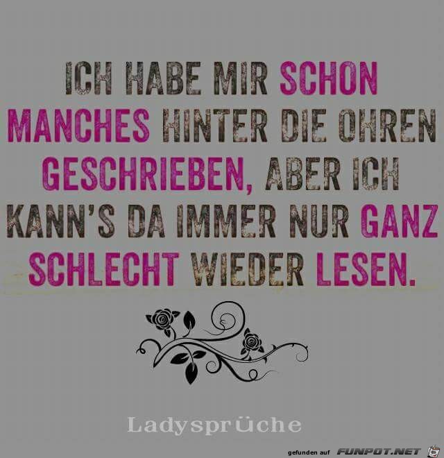 ich habe mir schon manches ich habe mir schon manches