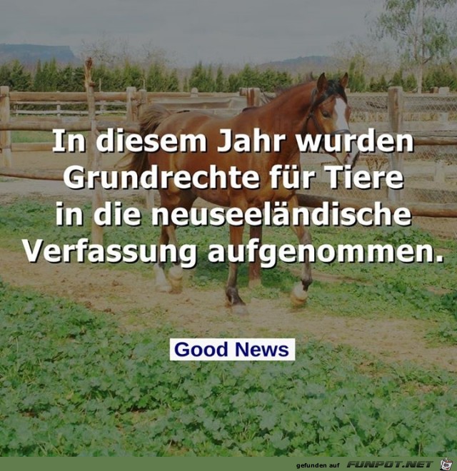 In diesem Jahre wurden Grundrechte... In diesem Jahre wurden Grundrechte...
