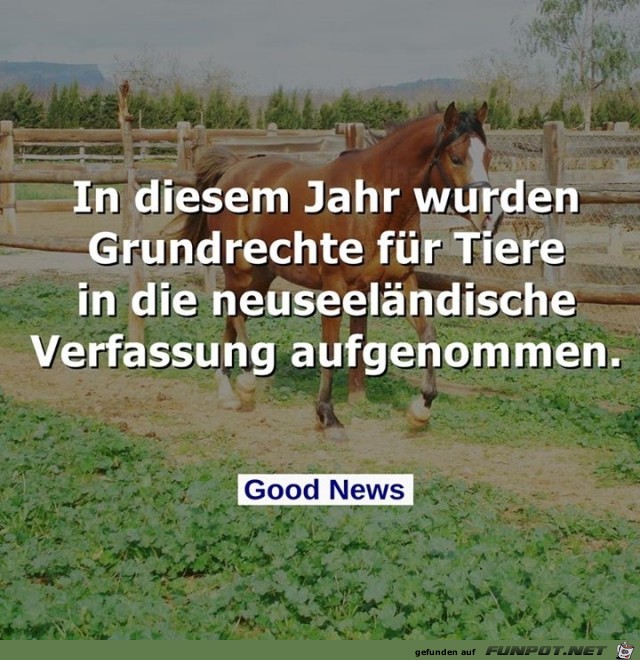 In diesem Jahre wurden Grundrechte...