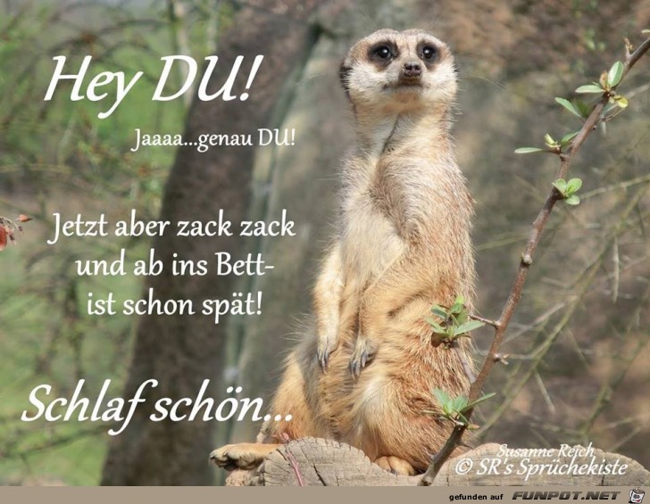 Hey du Hey du