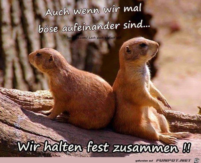 fest zusammen