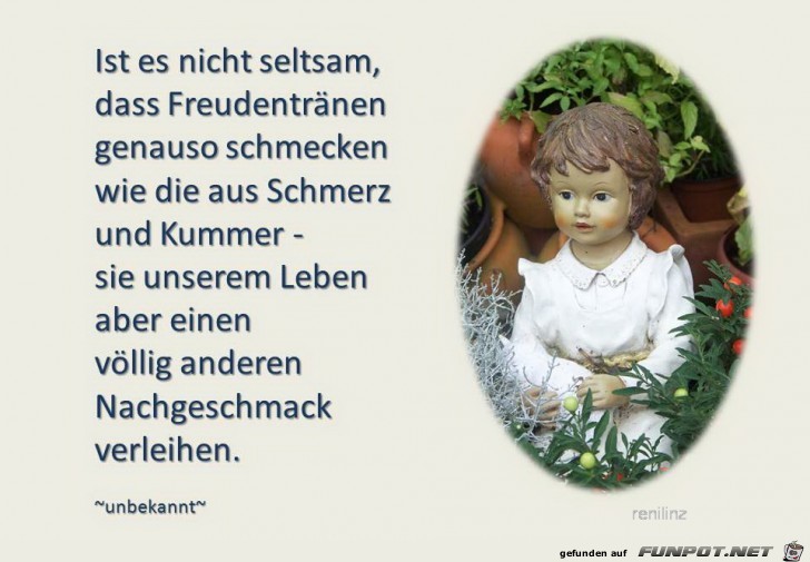 ist es nicht seltsam