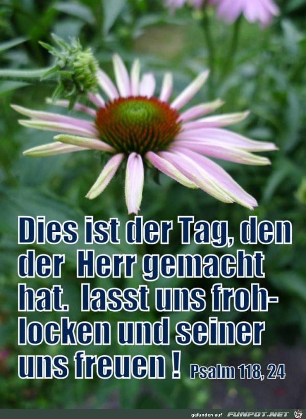 dies ist der Tag dies ist der Tag