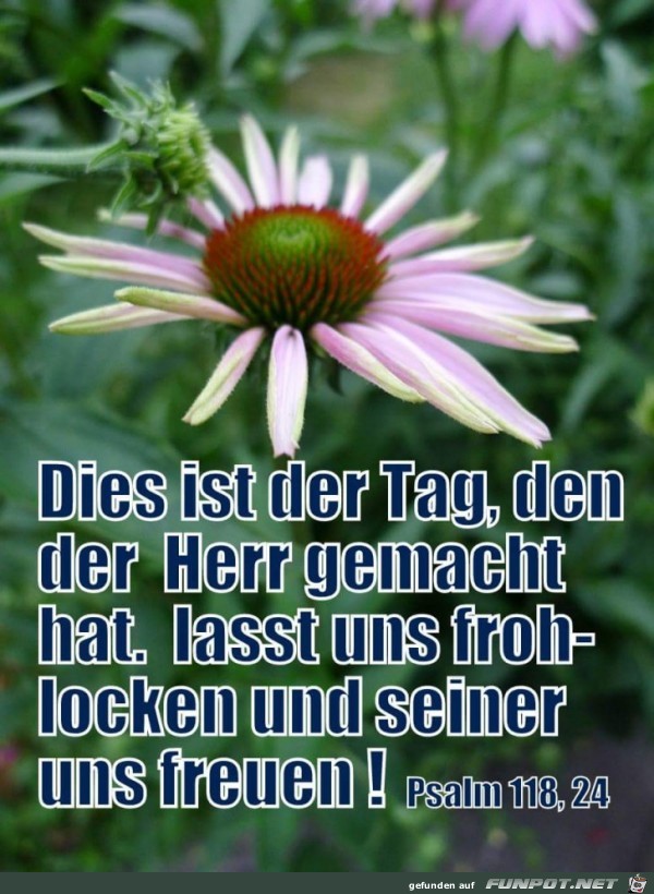 dies ist der Tag