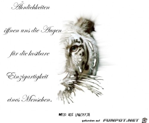 aeaehnlichkeiten aeaehnlichkeiten