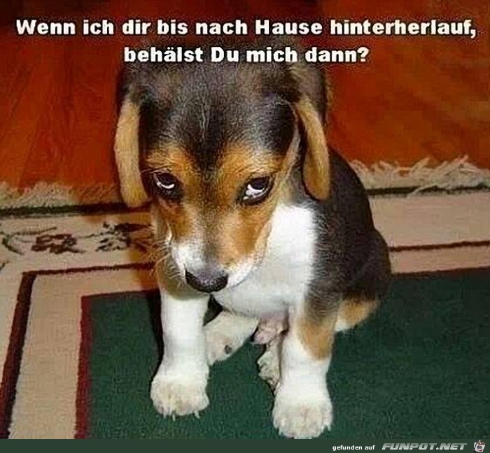 wenn-ich-dir wenn-ich-dir
