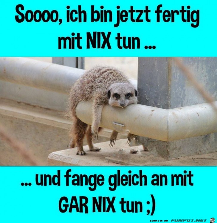 Nix tun Nix tun