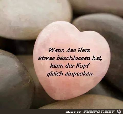 Einpacken